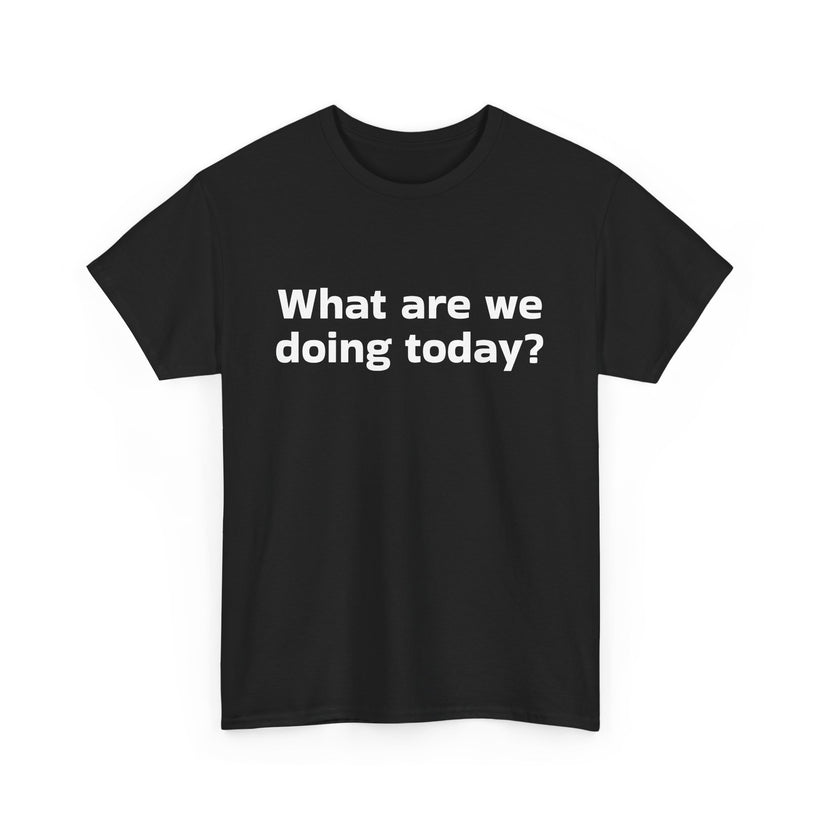 What are we doing today? T-Shirt