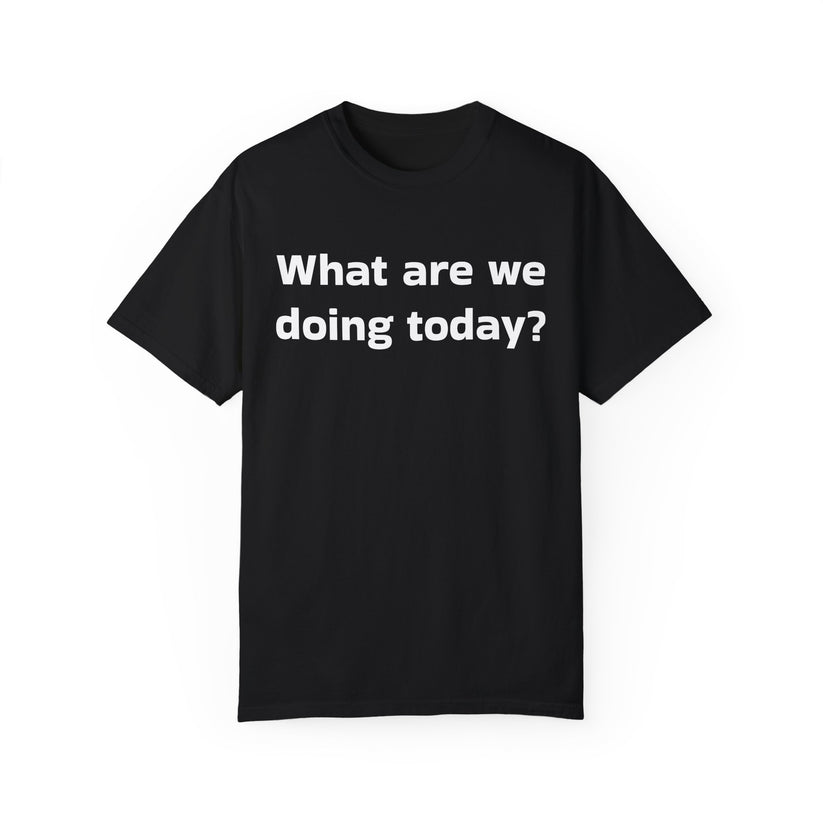 What are we doing today? T-shirt